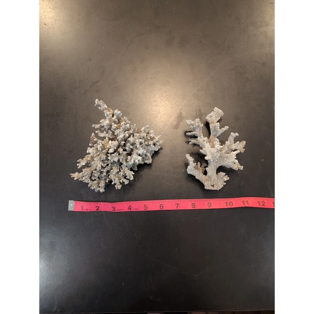 Coral Reef Cluster Specimen Lot Of 2- 6